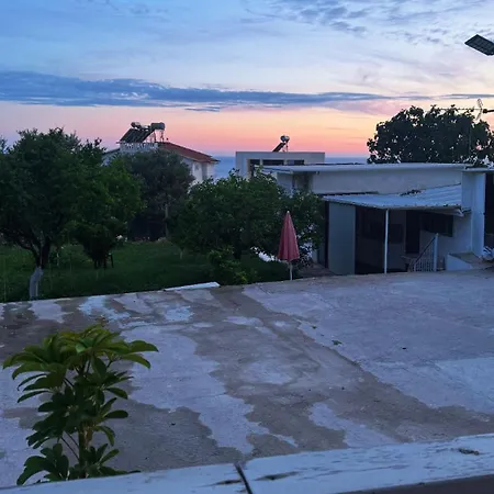 Summer * Gjilek